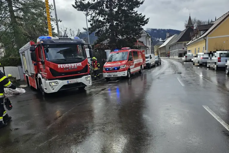 Mehrere Feuerwehrautos auf einer Straße