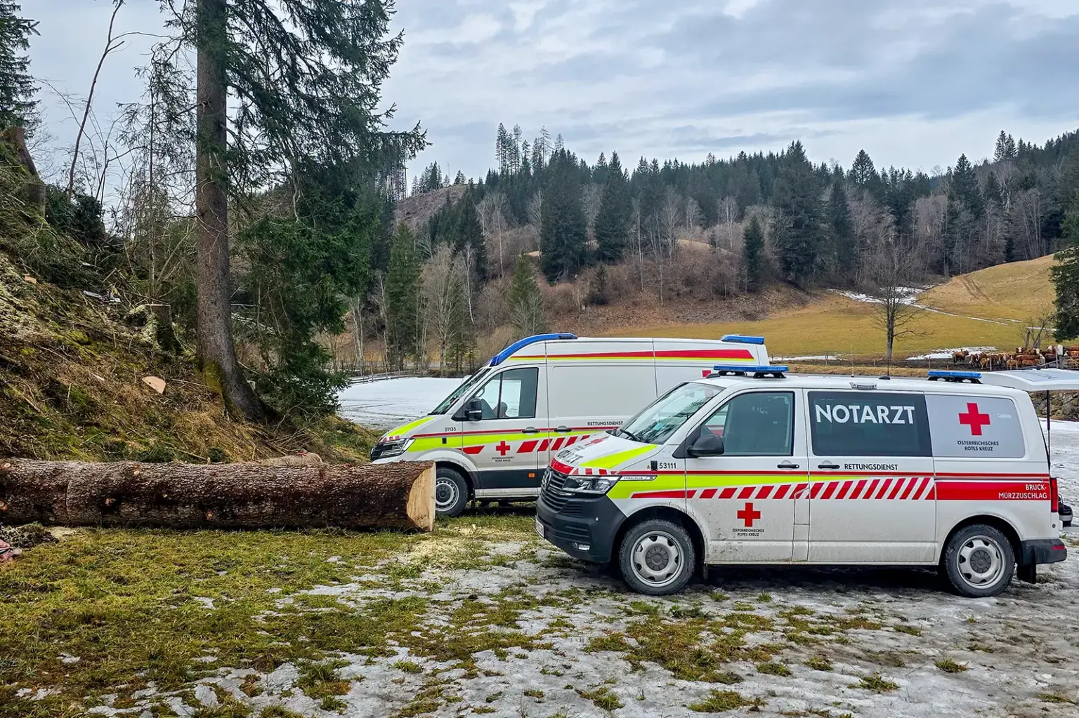Zwei Rettungsfahrzeuge in ländlicher Landschaft, daneben der Stamm eines umgeschnittenen Baumes
