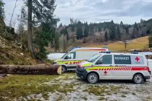 Forstunfall in Mariazell Zwei Rettungsfahrzeuge in ländlicher Landschaft, daneben der Stamm eines umgeschnittenen Baumes