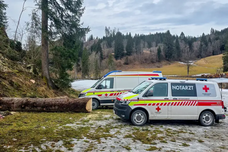 Forstunfall in Mariazell Zwei Rettungsfahrzeuge in ländlicher Landschaft, daneben der Stamm eines umgeschnittenen Baumes