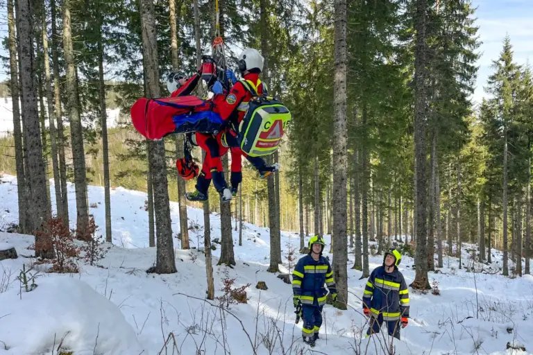 Forstarbeiter mit Helikopter geborgen Feuerwehrleute bergen eine verletzte Person im Wald