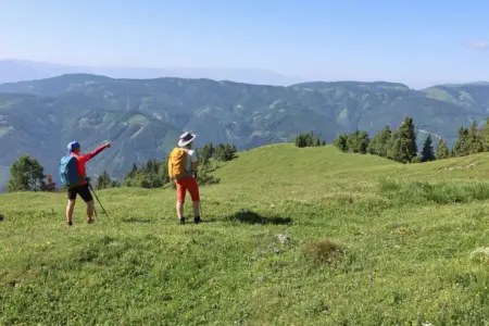 Zwei Wanderer auf einer Bergwiese zirka an der Baumgrenze, den Blick auf bewaldete Hänge auf der anderen Seite des Tals gerichtet