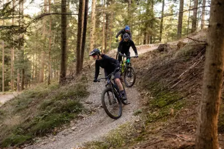 Bike-Arena auf der Sommeralm startet im Mai Drei Mountainbiker auf einer als Trail mit Steilkurven ausgebauten Abfahrt durch einen Wald