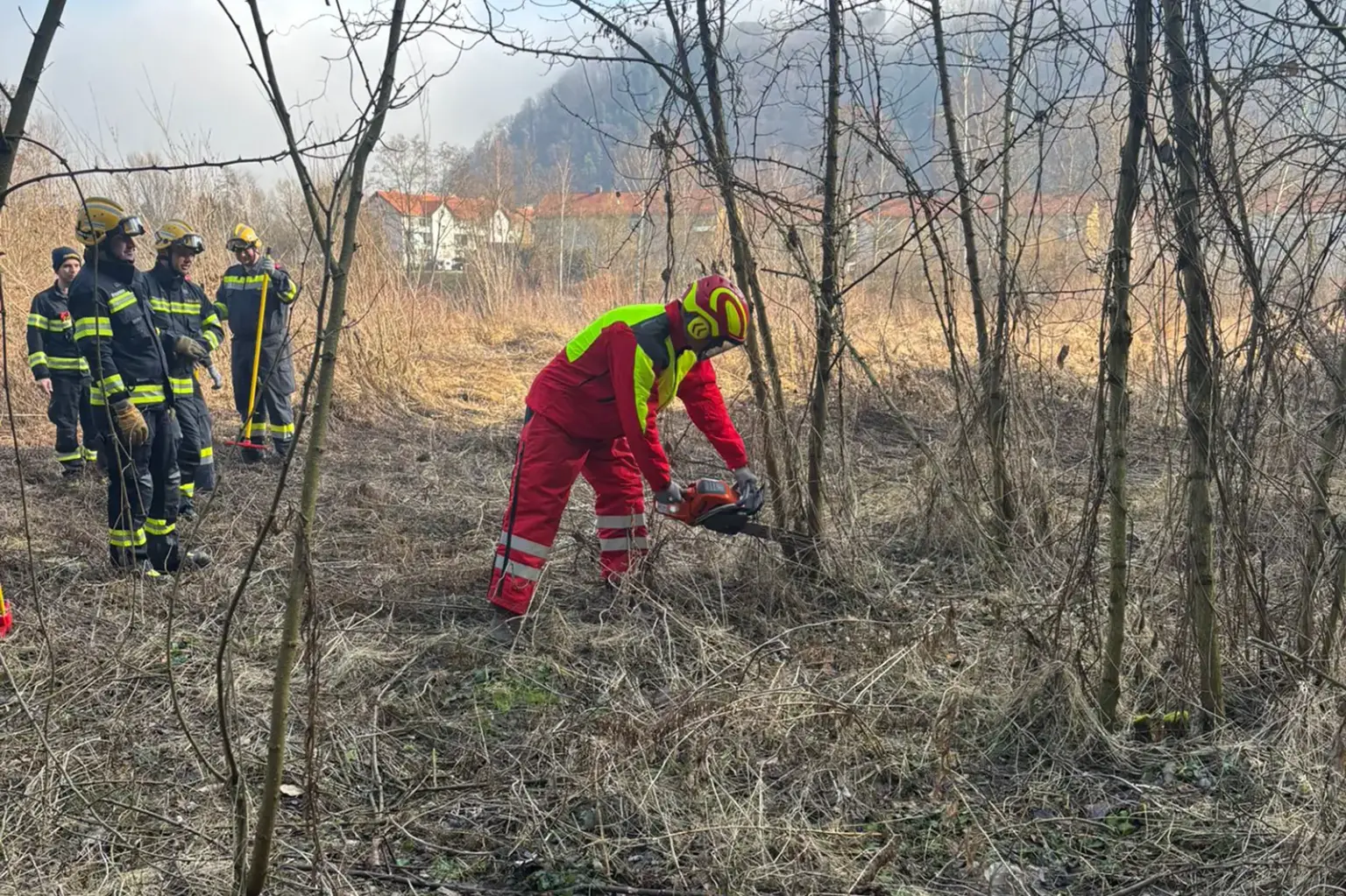 Mehrere Männer in Uniformen und Schutzkleidung arbeiten mit einer Motorsäge im Wald