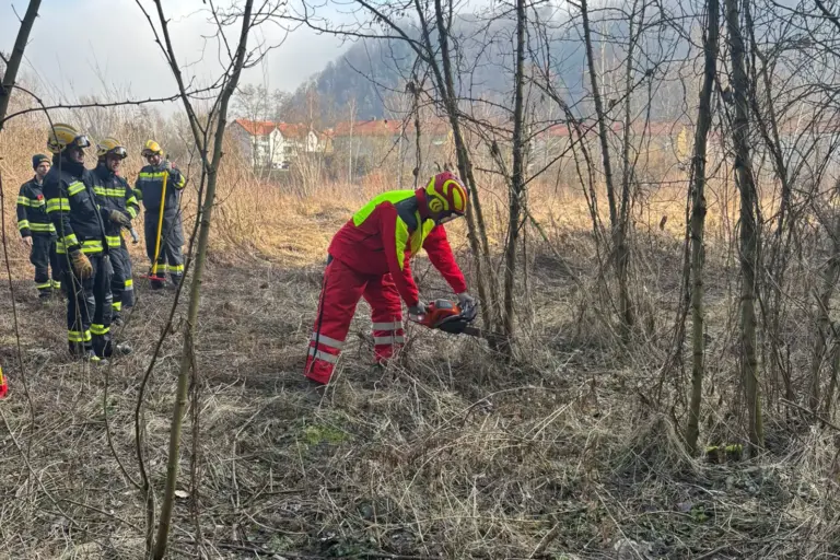 Mehrere Männer in Uniformen und Schutzkleidung arbeiten mit einer Motorsäge im Wald