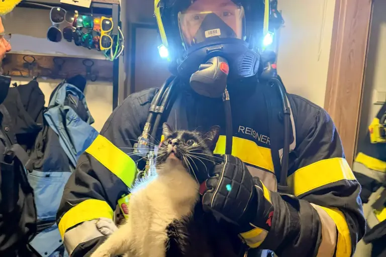 Wohnung gelöscht, Katzen gerettet Ein Feuerwehrmann mit einer Katze
