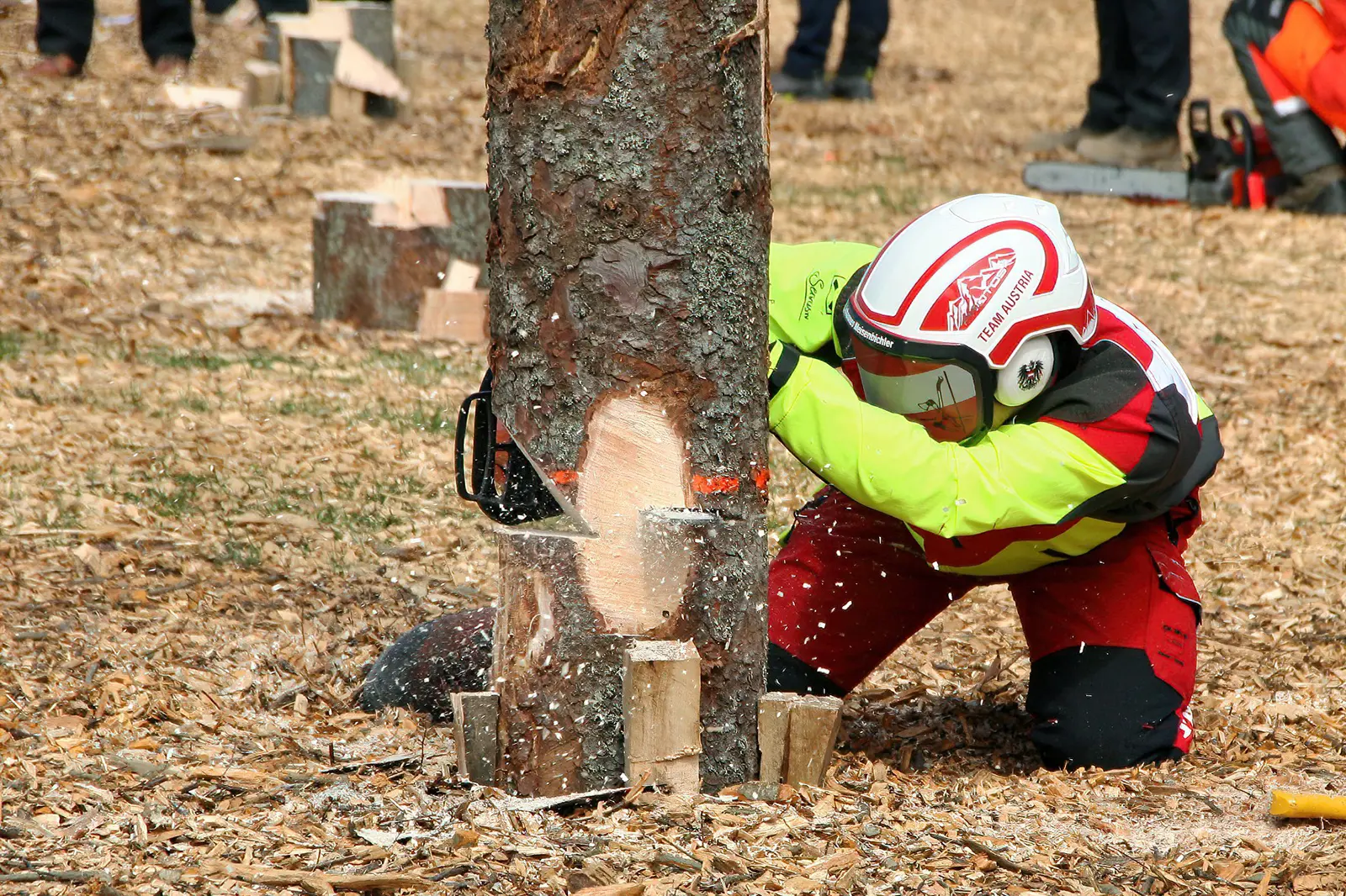 Ein Mann in Schutzkleidung beim Holzfällen