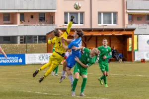 Ein Torhüter faustet den Ball weg