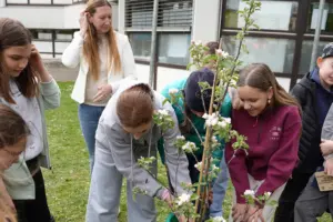 Eine Gruppe von Jugendlichen beim Pflanzen eines Baumes