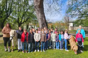 Volksschüler mit zwei Erwachsenen und zwei Ponys auf einer Wiese.