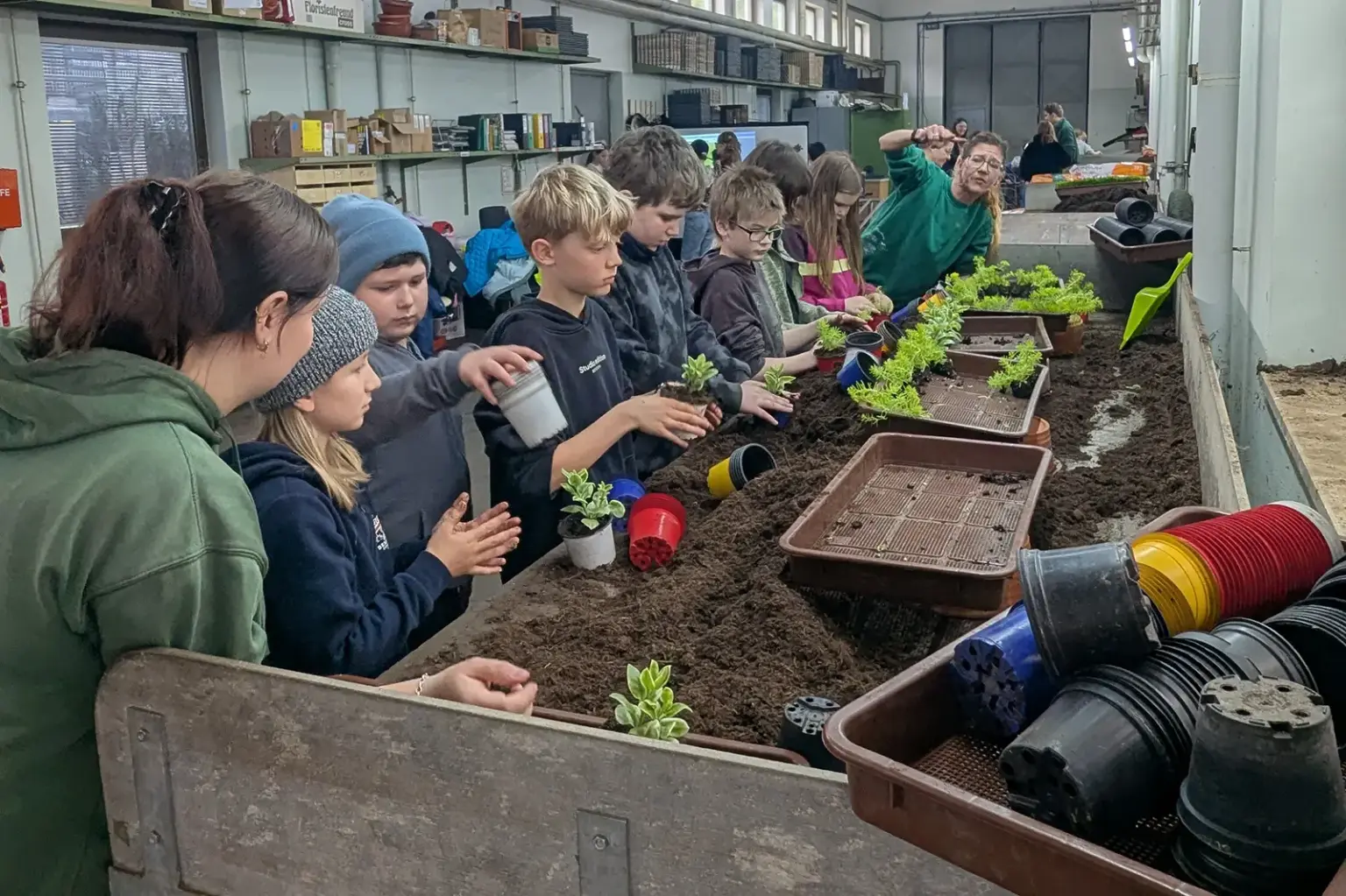 Mehrere Kinder setzen Pflanzen in ein Beet ein.