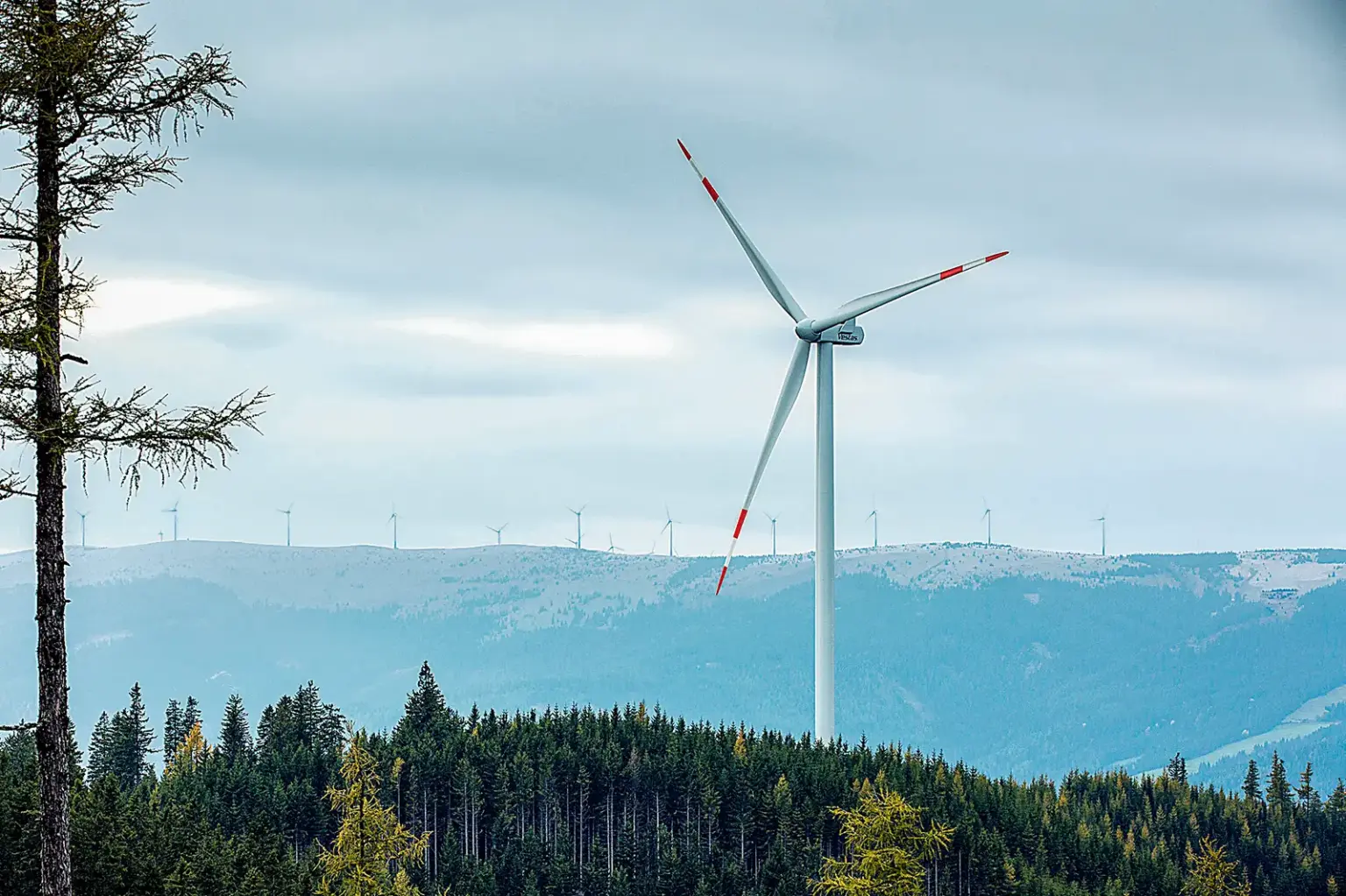 Eine Windkraftanlage auf einem bewaldeten Berg, im Hintergrund in höhergelegenen Almgelände mehr als zehn weitere Windräder