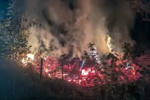 In einem bewaldeten Bereich brennt ein Feuer mit starker Rauchentwicklung. Glühende Äste und Flammen sind zwischen Pflanzen und Bäumen in der Dunkelheit sichtbar.