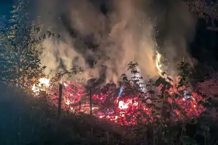 Wiesenbrand in der Langenwanger Schwöbing In einem bewaldeten Bereich brennt ein Feuer mit starker Rauchentwicklung. Glühende Äste und Flammen sind zwischen Pflanzen und Bäumen in der Dunkelheit sichtbar.