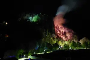 Eine Nachtaufnahme, wo ein Stück eines Waldes in Flammen steht.