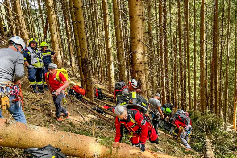 Einsatzkräfte mit Helmen und Rettungsausrüstung in einem dichten Waldstück
