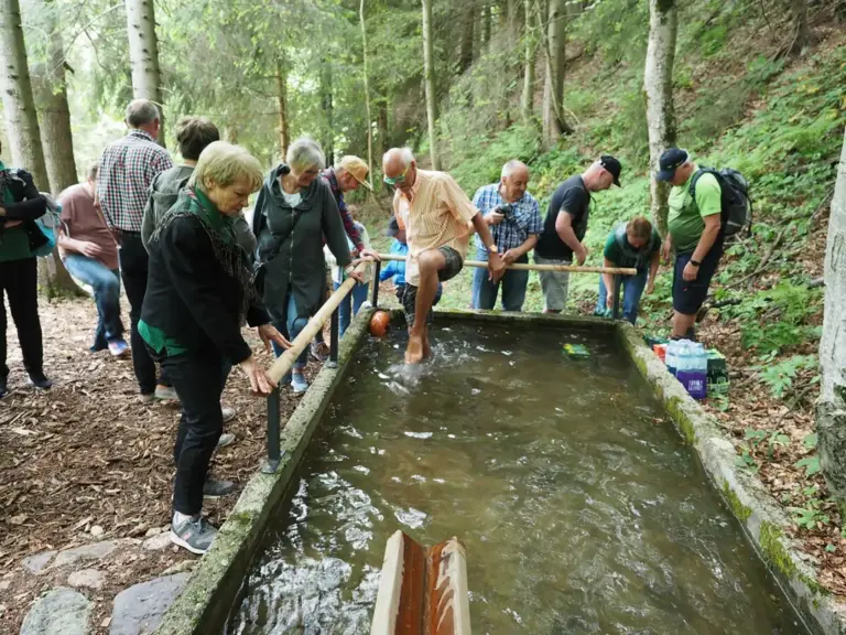 Ankneippen in Vordernberg Eine Frau hält ihre Hände in ein Wasserbecken