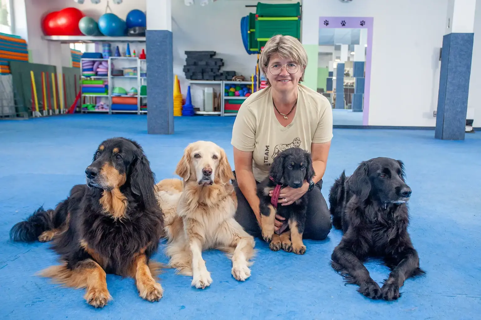 „Hundeschule ist zu drei Viertel für den Menschen“ Eine Frau und vier Hunde in einem großen Raum mit blauem Bodenbelag, im Hintergrund Regale mit Bällen und Spielgeräten