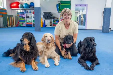 „Hundeschule ist zu drei Viertel für den Menschen“ Eine Frau und vier Hunde in einem großen Raum mit blauem Bodenbelag, im Hintergrund Regale mit Bällen und Spielgeräten