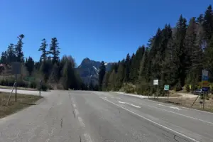 Eine Straße mit Wald und Bergen im Hintergrund