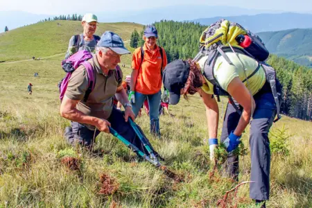 Drei Frauen und ein Mann bei der Arbeit mit einer Strauchschere auf einer Alm