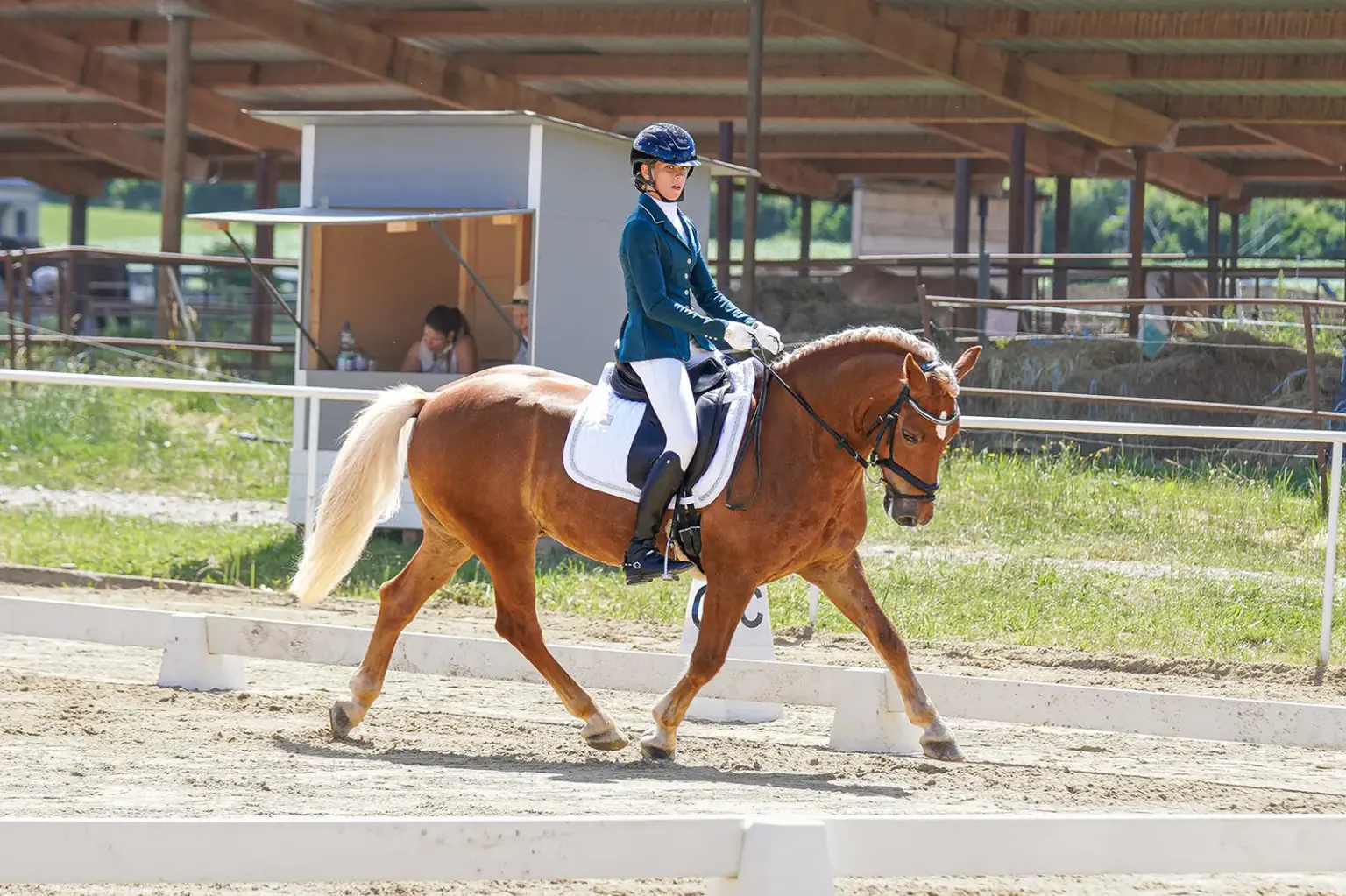 Meisterschaft der Haflinger in Krieglach Eine Reiterin in Wettkampfkleidung sitzt auf einem Pferd