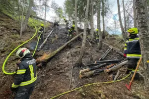Rund zehn Personen in Feuerwehrausrüstung beim Bekämpfen eines Waldbrandes in steilem Gelände.