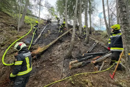 Waldbrand in Krieglach rasch bekämpft Rund zehn Personen in Feuerwehrausrüstung beim Bekämpfen eines Waldbrandes in steilem Gelände.