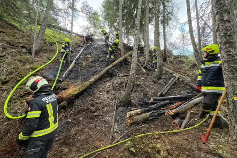 Waldbrand in Krieglach rasch bekämpft Rund zehn Personen in Feuerwehrausrüstung beim Bekämpfen eines Waldbrandes in steilem Gelände.