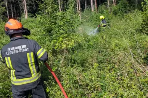Zwei Feuerwehrmänner arbeiten mit Schläuchen im Wald