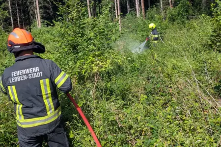 Zwei Feuerwehrmänner arbeiten mit Schläuchen im Wald