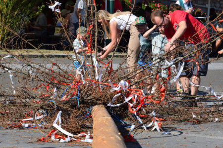 Mehrere Personen pflücken Dinge von einem auf der Straße liegenden Baum