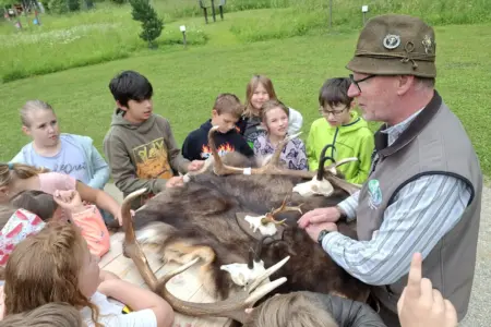 Eine Gruppe von Kindern steht mit einem Erwachsenen rund um einen Tisch mit Tierpräparaten