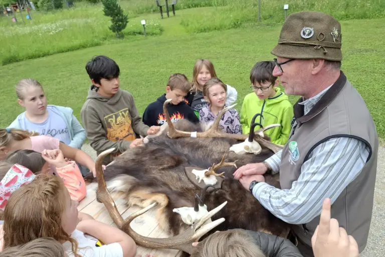 Eine Gruppe von Kindern steht mit einem Erwachsenen rund um einen Tisch mit Tierpräparaten
