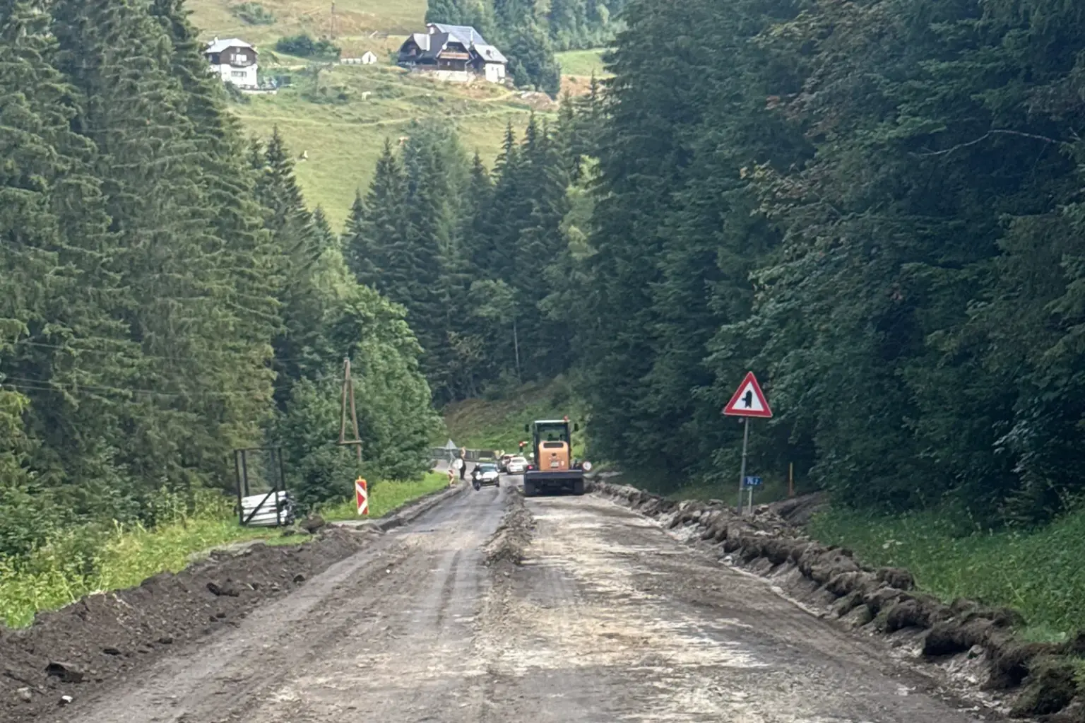 Eine Baustelle auf einer Straße durch einen Wald mit Bergen im Hintergrund.