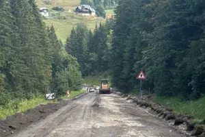 Eine Baustelle auf einer Straße durch einen Wald mit Bergen im Hintergrund.