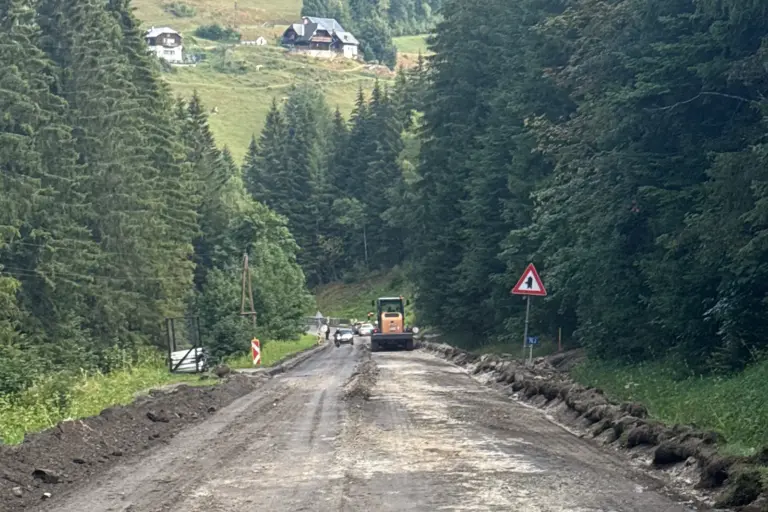 Alpl und Schanz: Wechselweise Sperren im Sanierungs-Finale Eine Baustelle auf einer Straße durch einen Wald mit Bergen im Hintergrund.