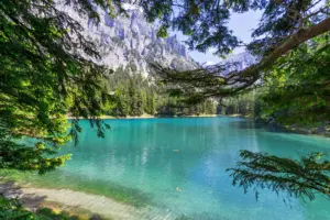 Der türkisfarbene Grüne See liegt umgeben von dichtem Wald und steilen Felswänden in einer sonnigen Berglandschaft.