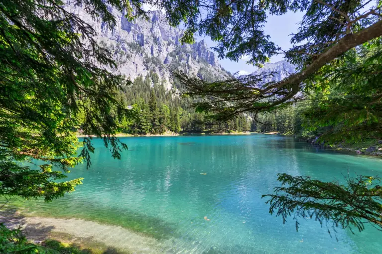 Volkslauf rund um den Grünen See Der türkisfarbene Grüne See liegt umgeben von dichtem Wald und steilen Felswänden in einer sonnigen Berglandschaft.