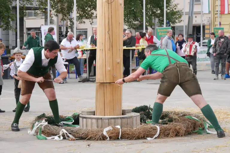 „Herbstln“ auf dem Brucker Hauptplatz Zwei Männer in Tracht beim Umschneiden eines Maibaums