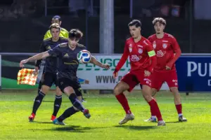 Vier Fußballer kämpfen um den Ball.