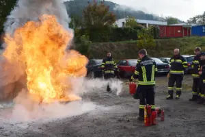 Mehrere Feuerwehrleute stehen mit Feuerlöschern neben einem Feuer